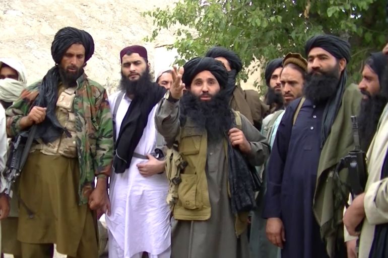 Mullah Fazlullah, Talibani